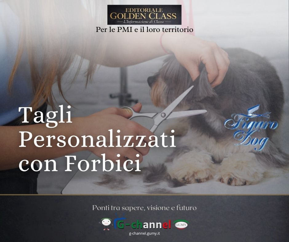 Tagli Personalizzati con Forbici