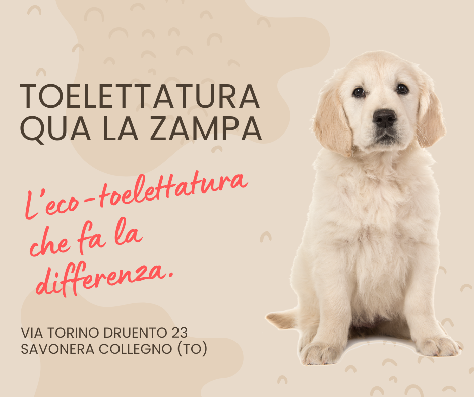 La Cura Naturale per i Tuoi Amici a Quattro Zampe La Cura Naturale per i Tuoi Amici a Quattro Zampe