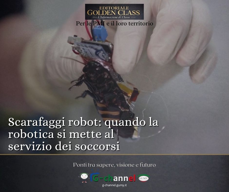 Scarafaggi robot: quando la robotica si mette al servizio dei soccorsi
