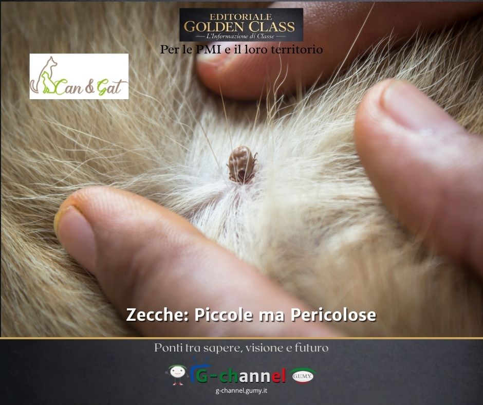 Zecche: Piccole ma Pericolose