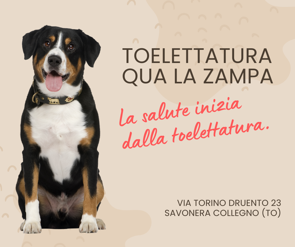 Toelettatura come Prevenzione Toelettatura come Prevenzione