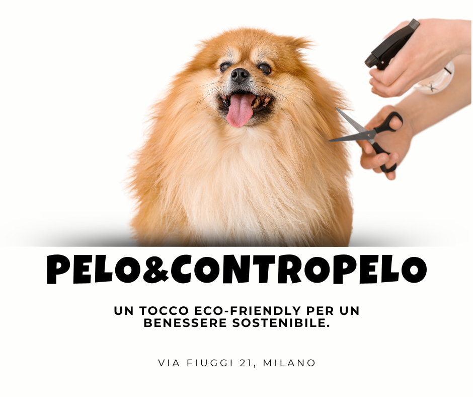 Toelettatura Eco-Friendly – La Cura Naturale per Chi Ama il Pianeta