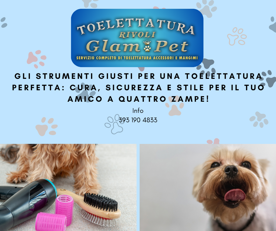 Strumenti essenziali per la toelettatura Strumenti essenziali per la toelettatura