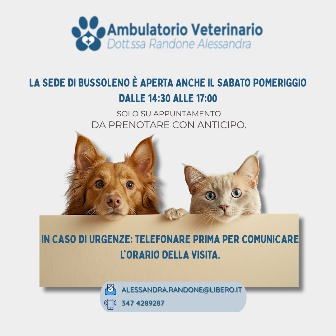 L’Ambulatorio Veterinario è aperto anche il sabato pomeriggio