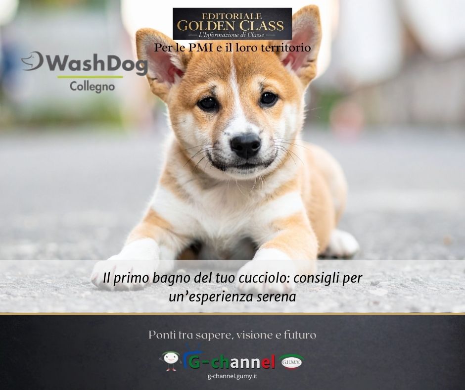 Il primo bagno del tuo cucciolo: consigli per un’esperienza serena