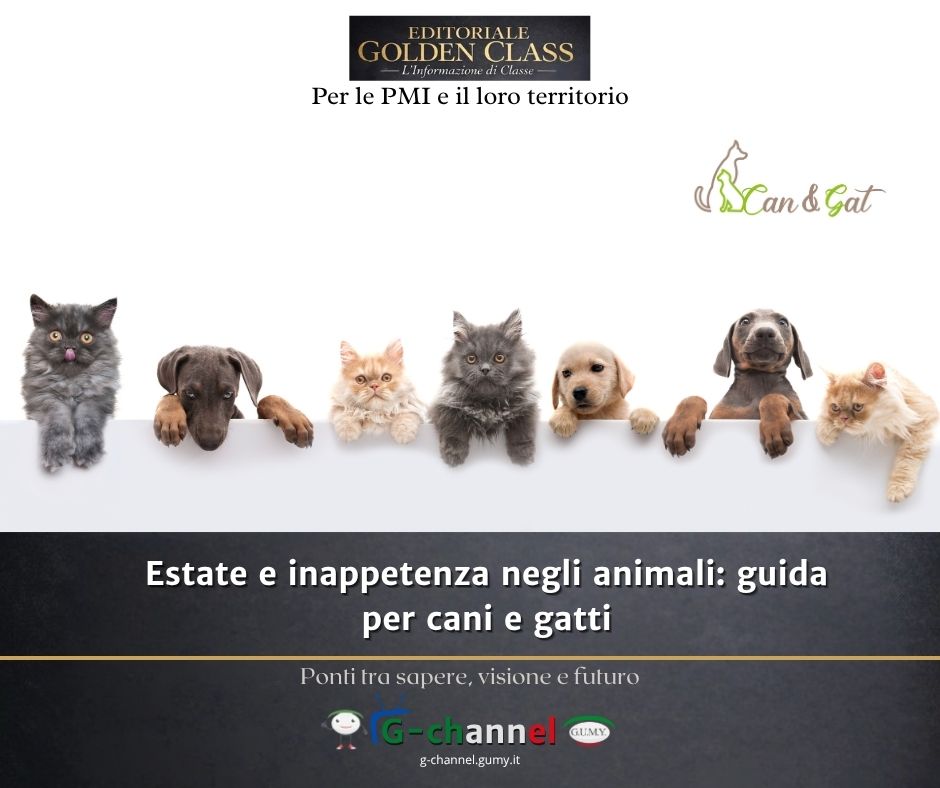 Estate e inappetenza negli animali: guida per cani e gatti