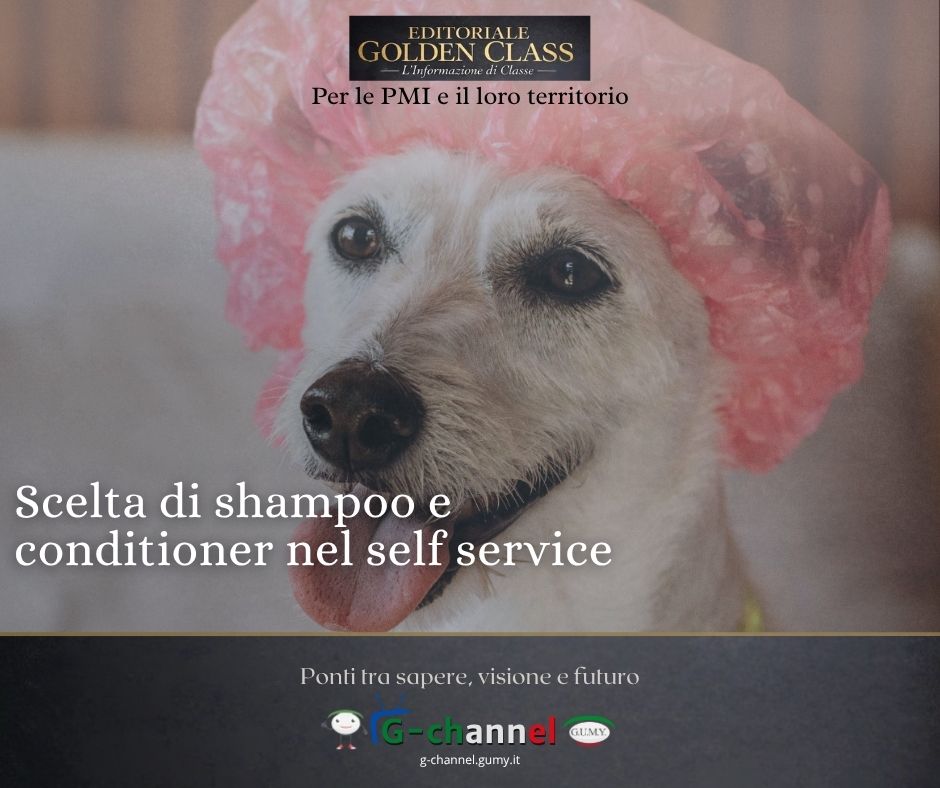 Scelta di shampoo e conditioner nel self service