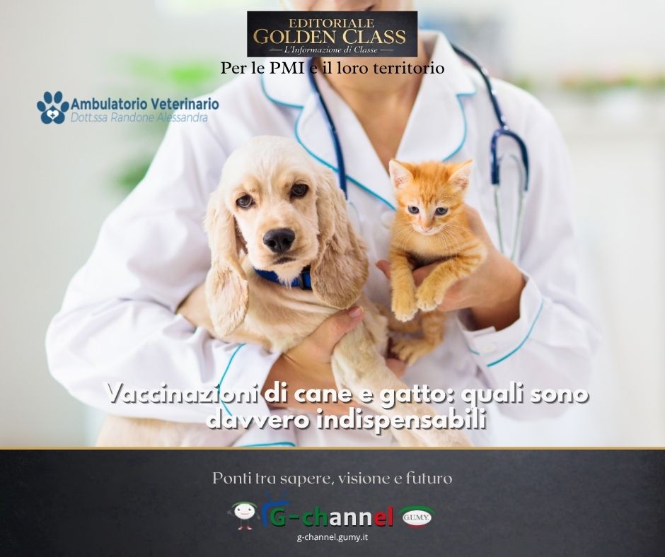 Vaccinazioni di cane e gatto: quali sono davvero indispensabili