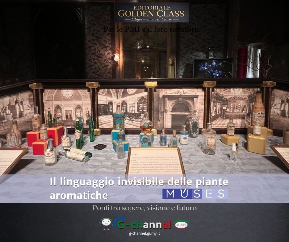 Il linguaggio invisibile delle piante aromatiche