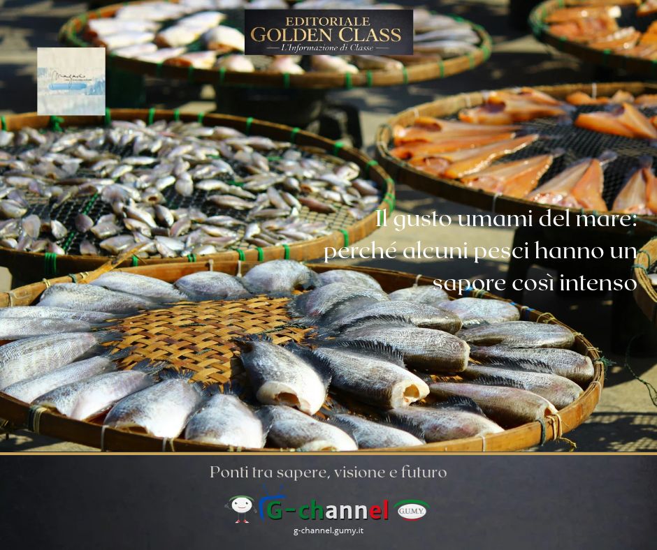 Il gusto umami del mare: alcuni pesci hanno un sapore così intenso