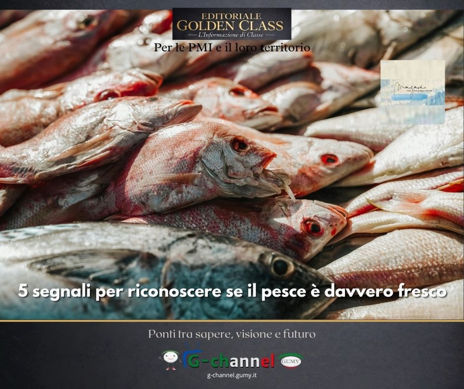 5 segnali per riconoscere se il pesce è davvero fresco