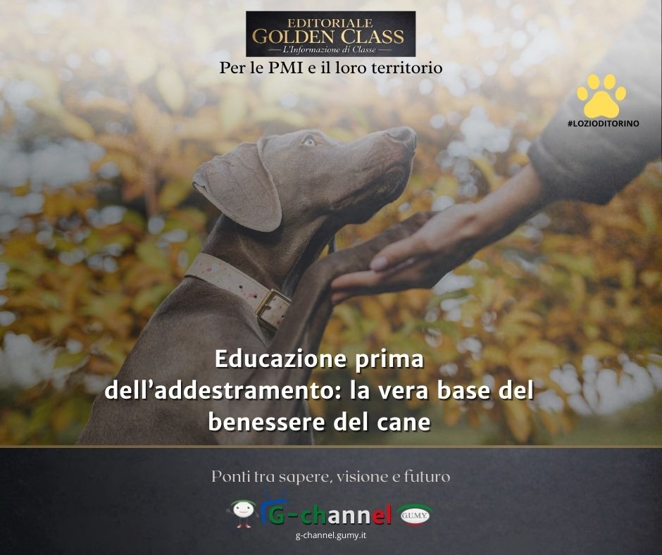 Educazione prima dell’addestramento: la vera base del benessere del cane
