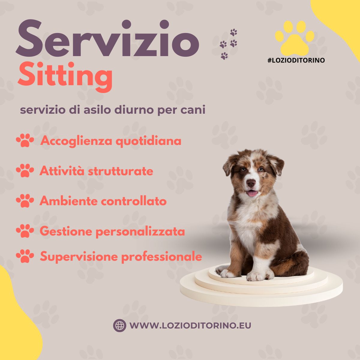Il servizio “Sitting” di Lo Zio di Torino