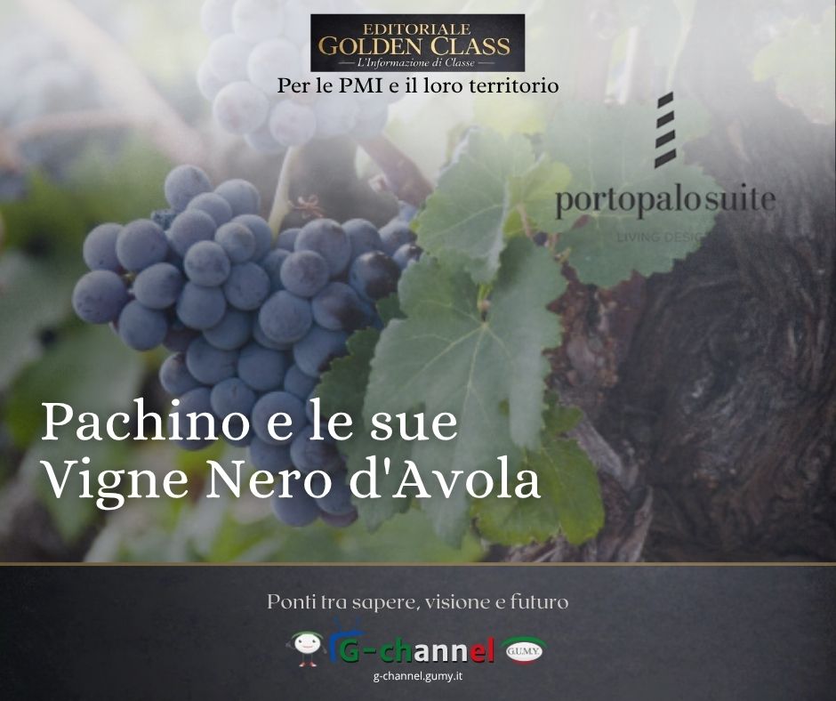 Pachino e le sue Vigne Nero d'Avola