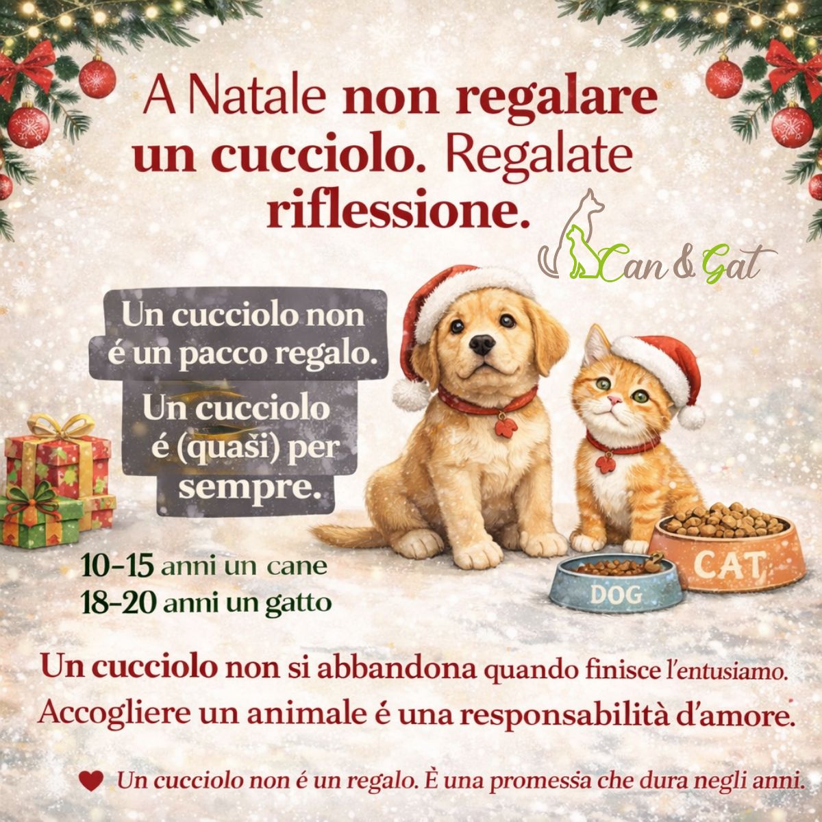 A Natale non regalare un cucciolo: regala una scelta consapevole