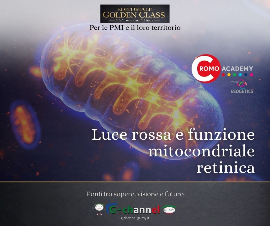 Luce rossa e funzione mitocondriale retinica