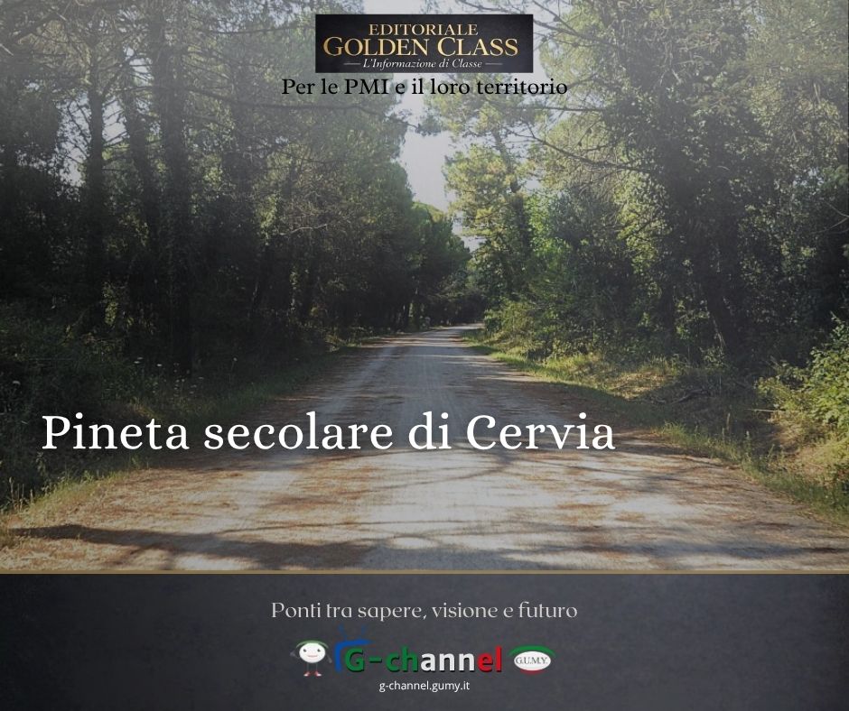 Pineta secolare di Cervia