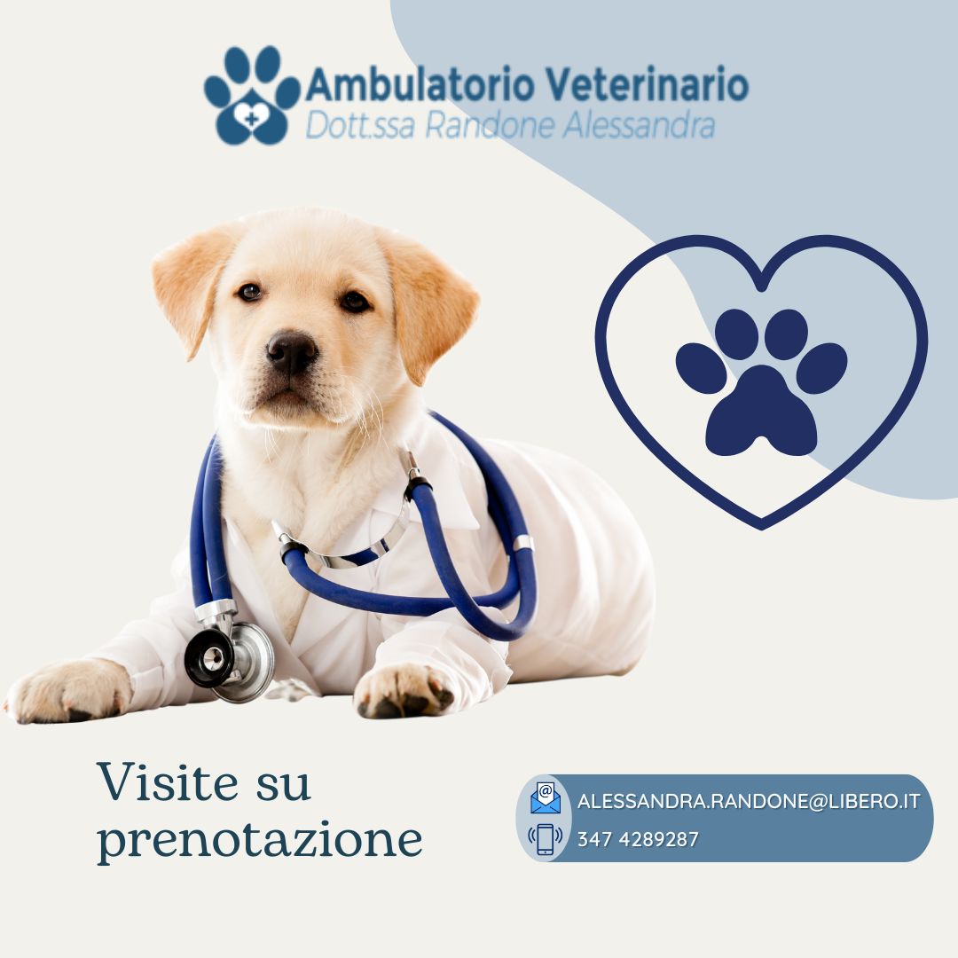 Visite su Prenotazione