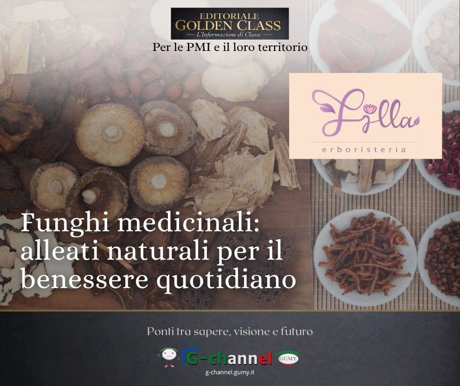 Funghi medicinali: alleati naturali per il benessere quotidiano