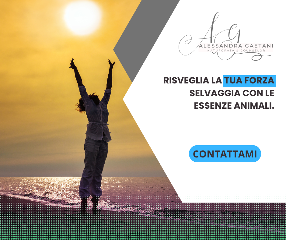 Connessione e Protezione dal Mondo Selvatico