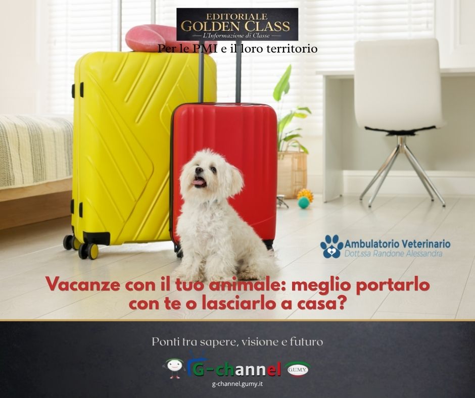Vacanze con il tuo animale: meglio portarlo con te o lasciarlo a casa?