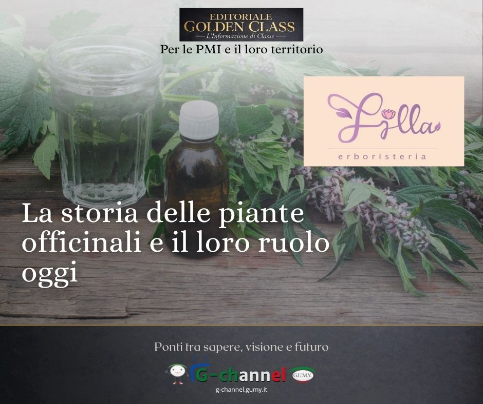 La storia delle piante officinali e il loro ruolo oggi