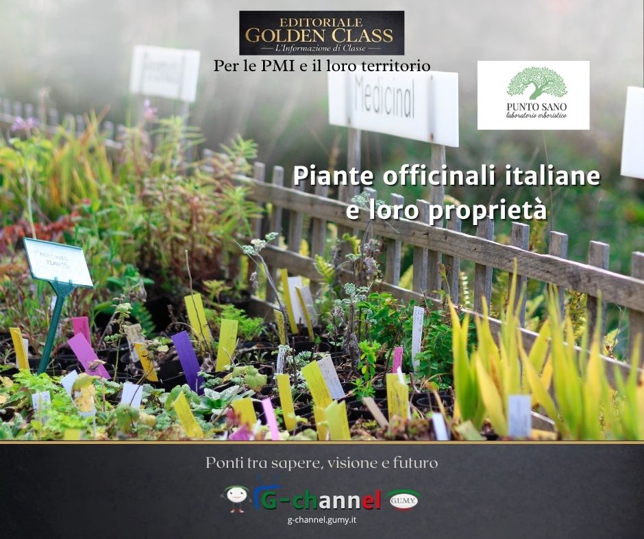 Piante officinali italiane e loro proprietà