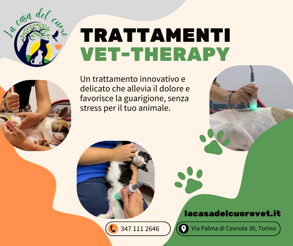 Vet-Therapy – Innovazione e Benessere per il tuo Animale Vet-Therapy – Innovazione e Benessere per il tuo Animale