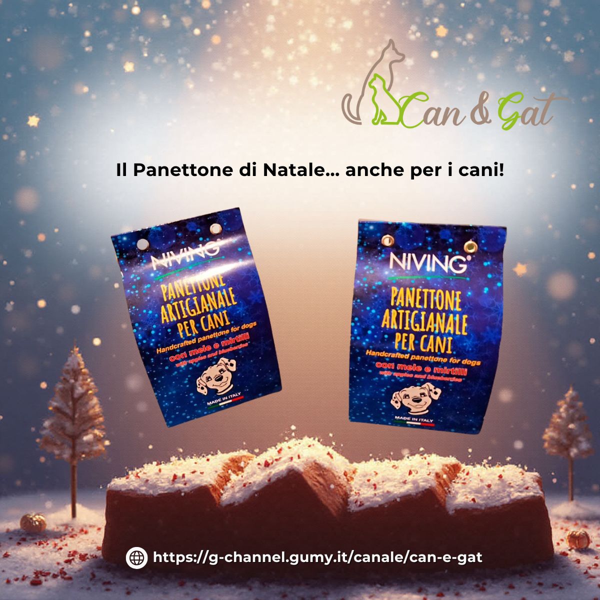 Il Panettone di Natale… anche per i cani!