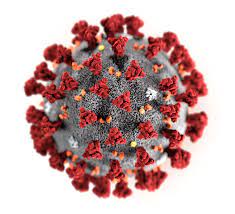 Coronavirus e sindrome respiratoria acuta (MERS e SARS)
