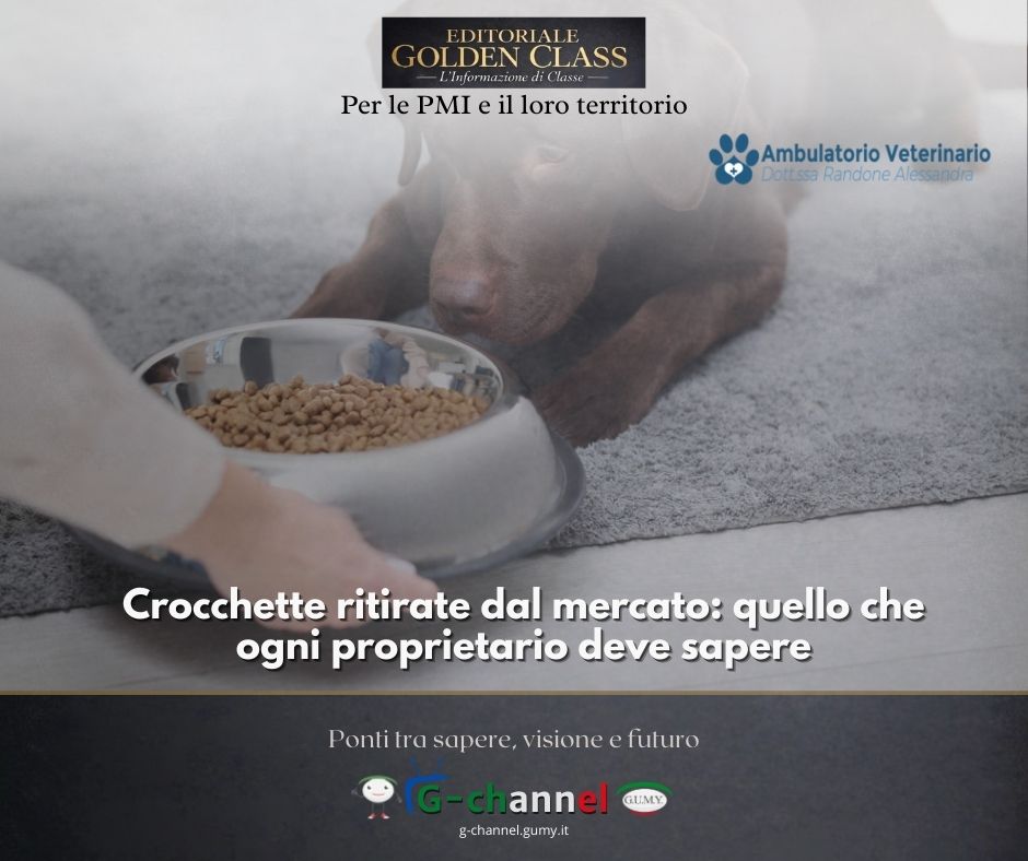 Crocchette ritirate dal mercato: quello che ogni proprietario deve sapere