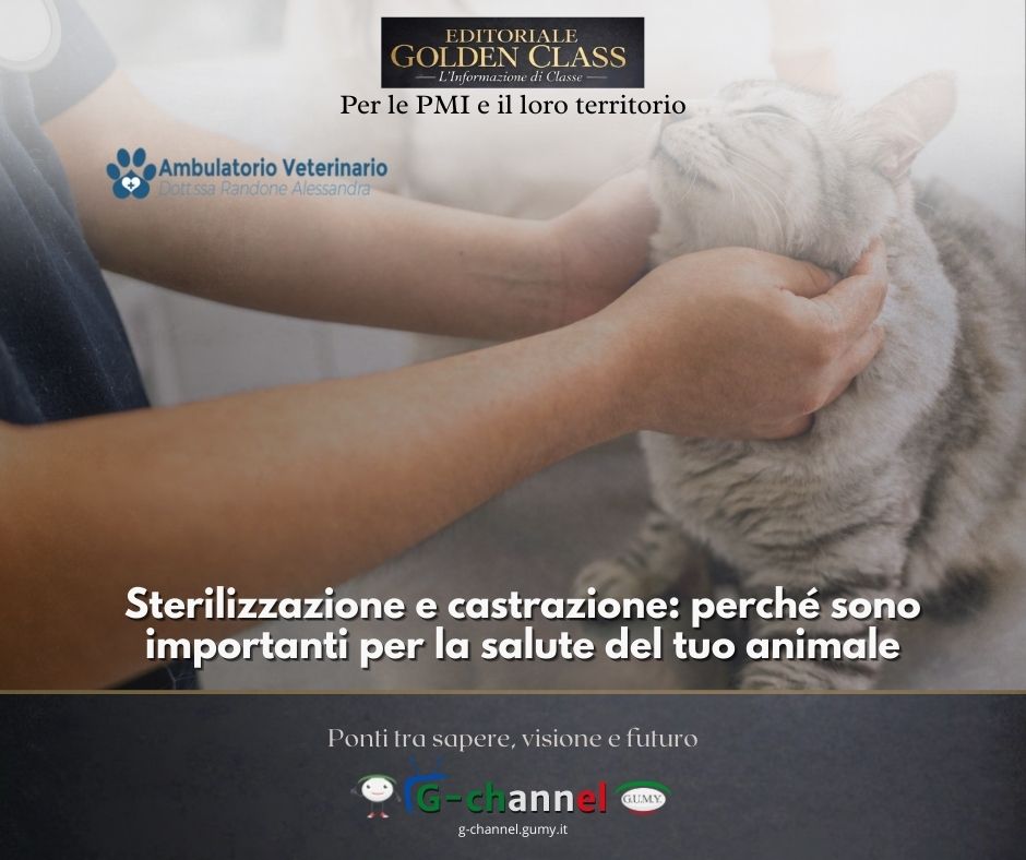 Sterilizzazione e castrazione: perché sono importanti per la salute del tuo animale
