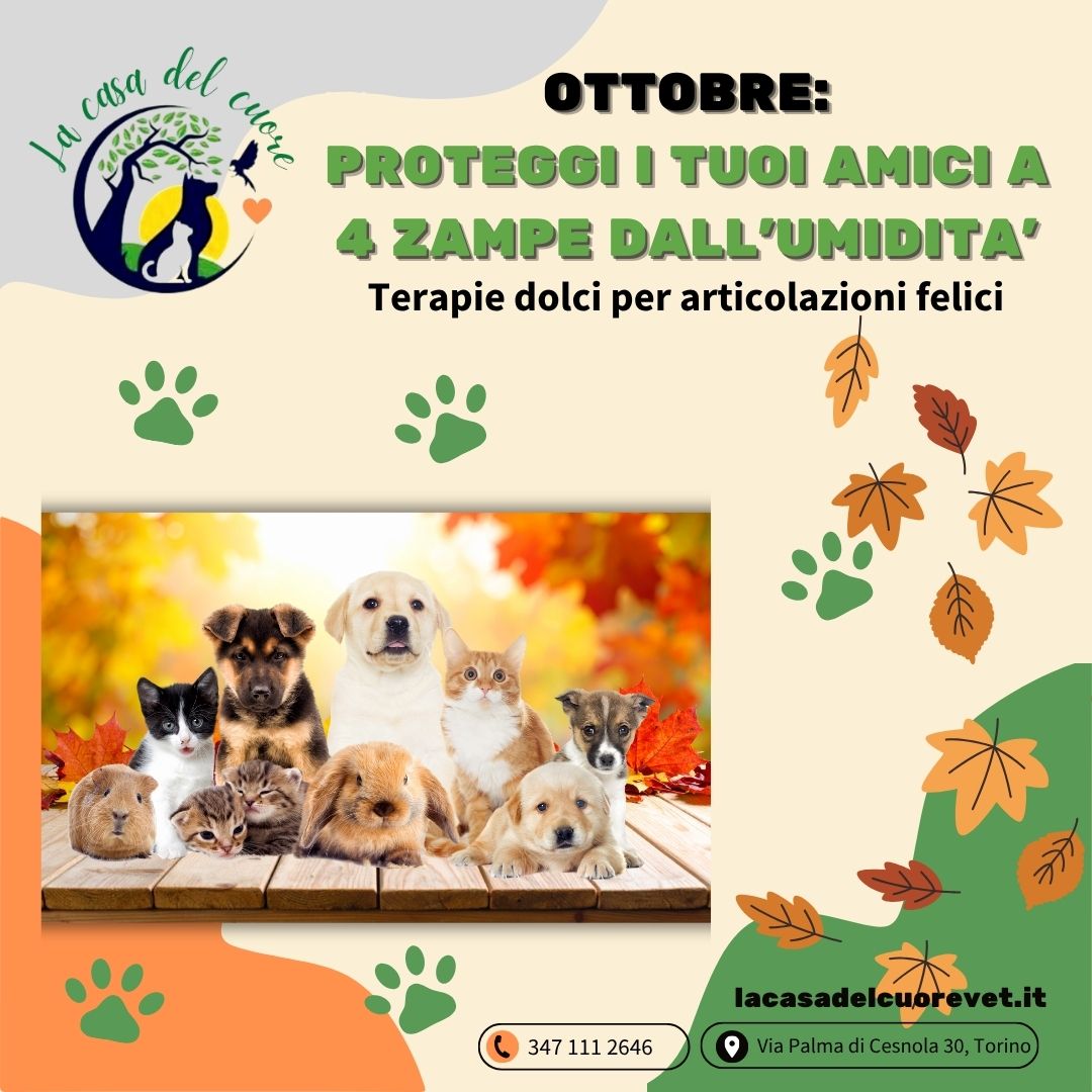 Ottobre – Autunno e Prevenzione: proteggi i tuoi animali dall’umidità! Ottobre – Autunno e Prevenzione: proteggi i tuoi animali dall’umidità!