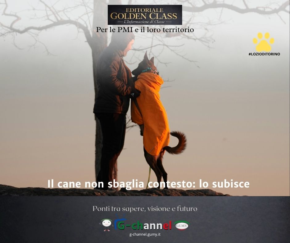 Il cane non sbaglia contesto: lo subisce