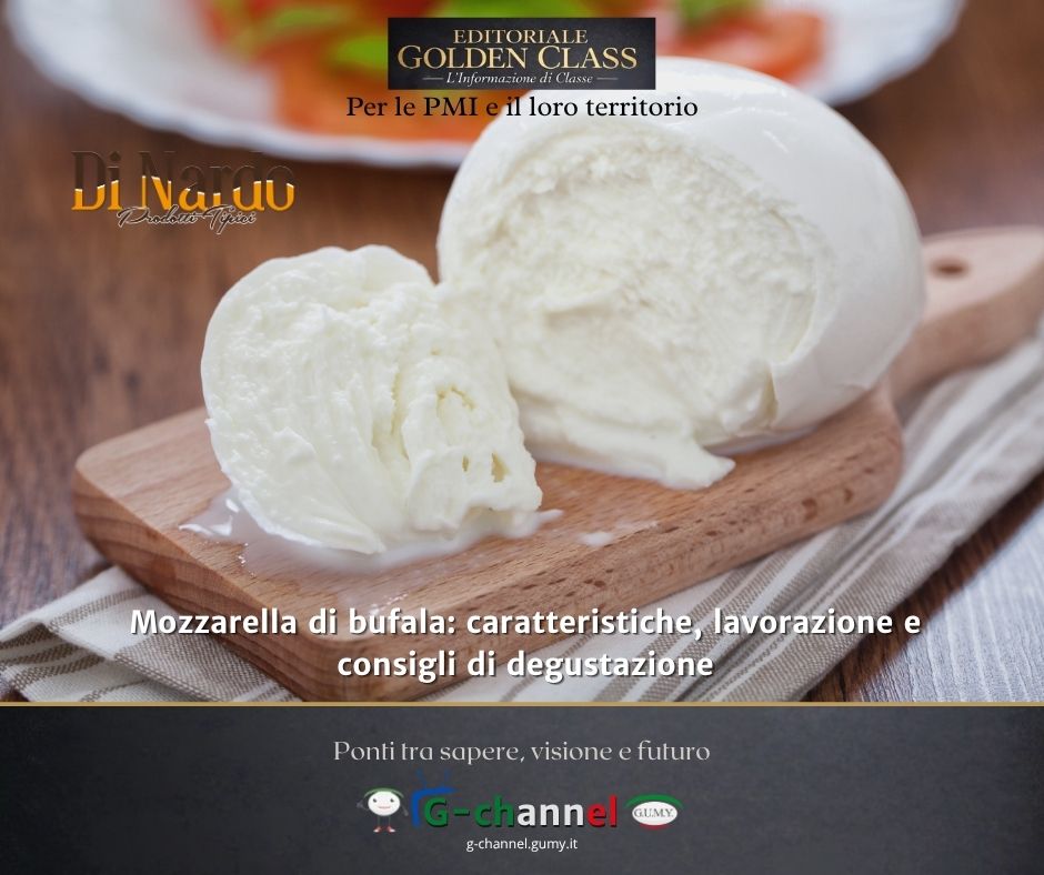 Mozzarella di bufala: caratteristiche, lavorazione e consigli di degustazione