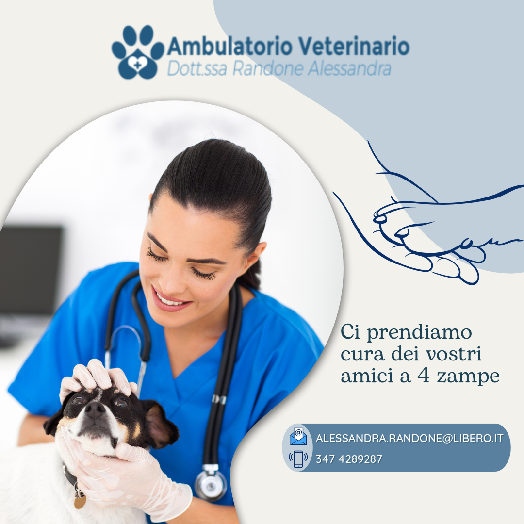 Benvenuti nell'ambulatorio della Dott.SSA RANDONE Benvenuti nell'ambulatorio della Dott.SSA RANDONE