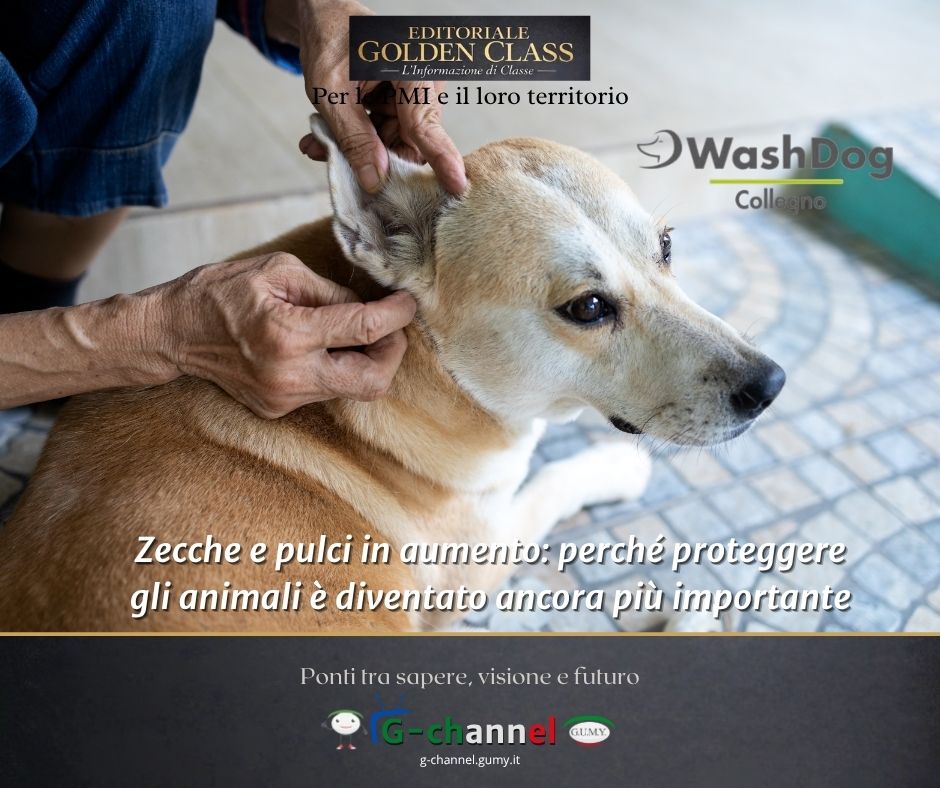 Zecche e pulci in aumento: perché proteggere gli animali è diventato ancora più importante