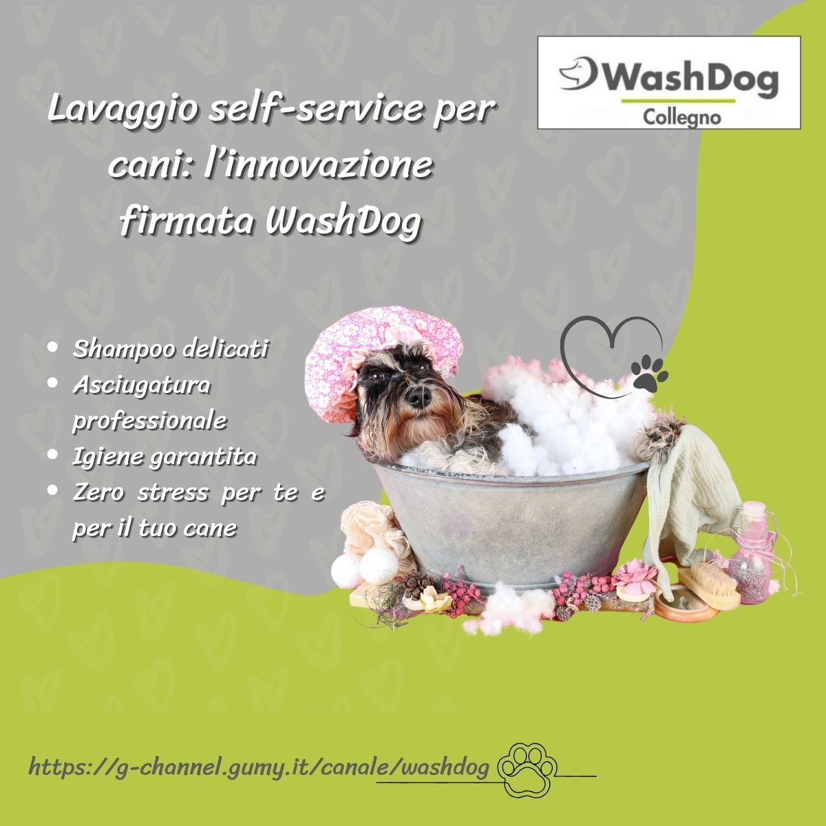 Lavaggio self-service per cani: l’innovazione firmata WashDog Lavaggio self-service per cani: l’innovazione firmata WashDog
