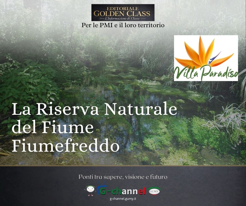 La Riserva Naturale del Fiume Fiumefreddo: un’oasi d’acqua tra l’Etna e il mare