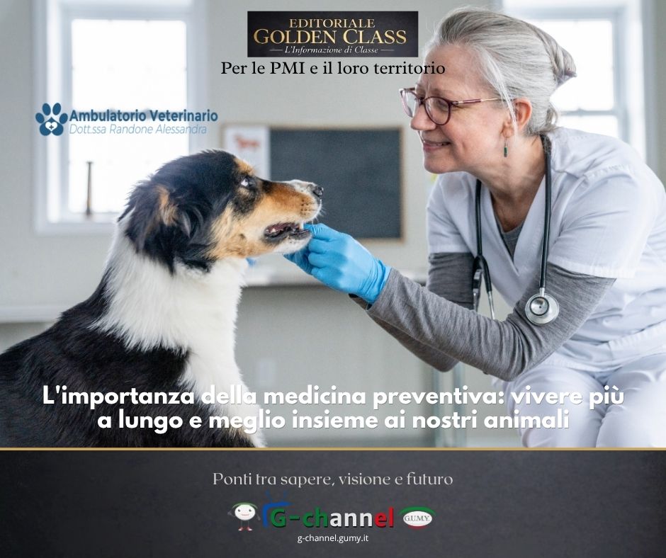 L'importanza della medicina preventiva: vivere più a lungo e meglio insieme ai nostri animali