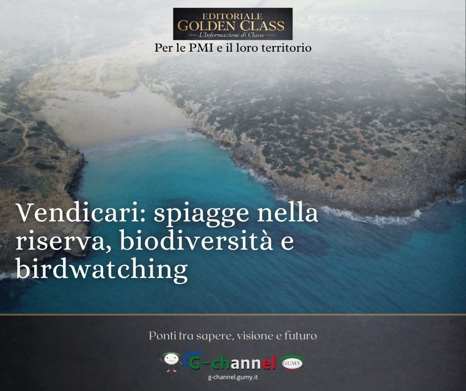 Vendicari: spiagge nella riserva, biodiversità e birdwatching