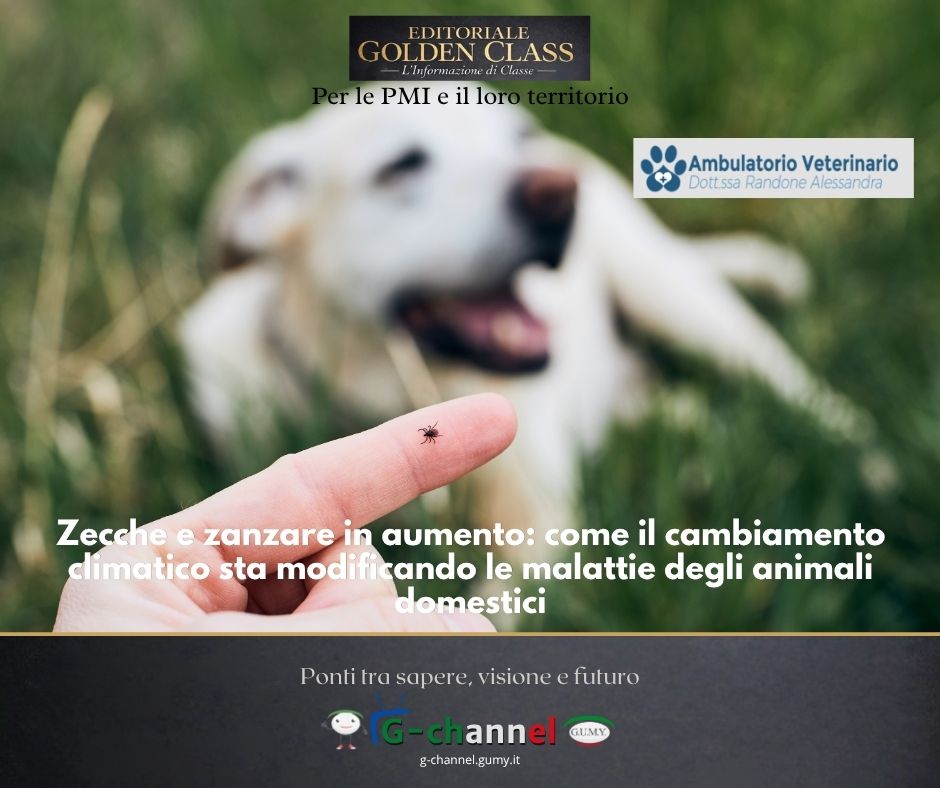 Zecche e zanzare in aumento: come il cambiamento climatico sta modificando le malattie degli animali domestici