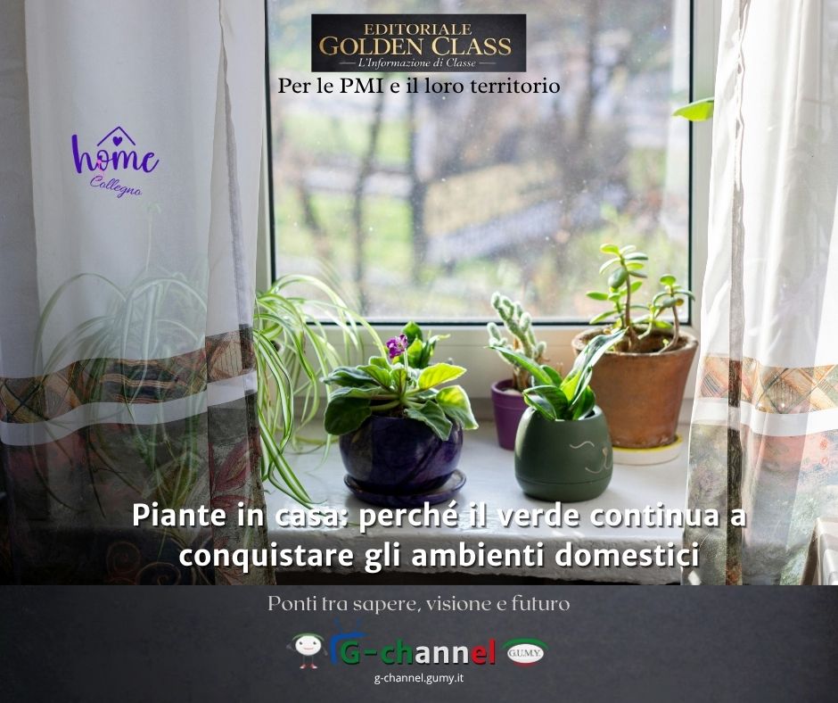 Piante in casa: perché il verde continua a conquistare gli ambienti domestici