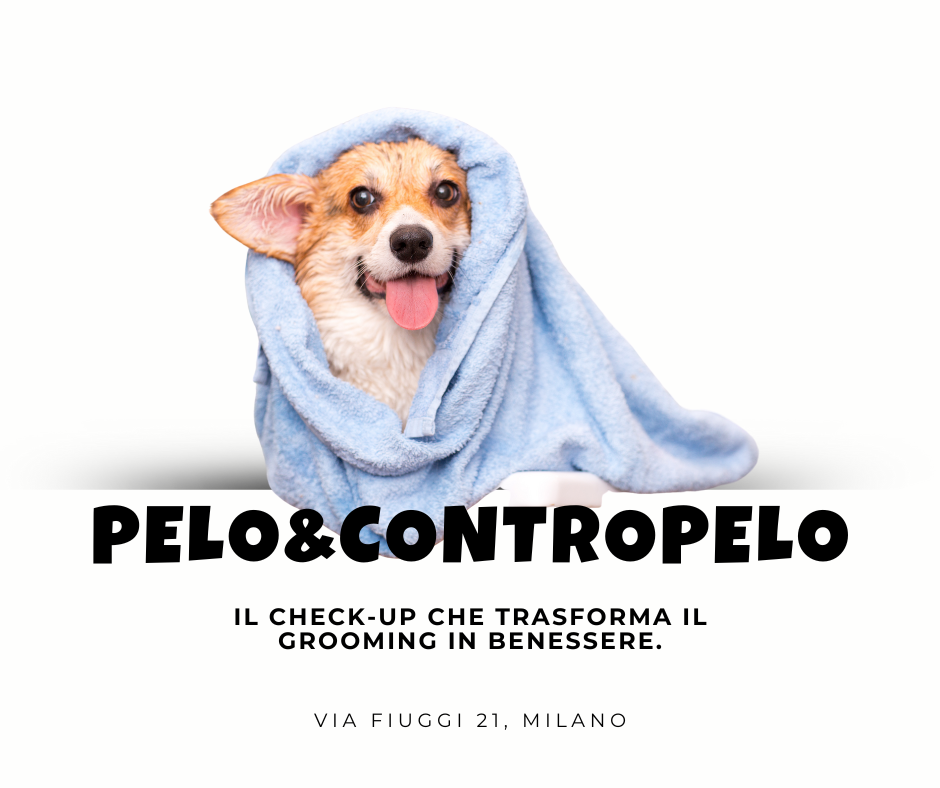 Toelettatura e Prevenzione – La Salute in Primo Piano Toelettatura e Prevenzione – La Salute in Primo Piano