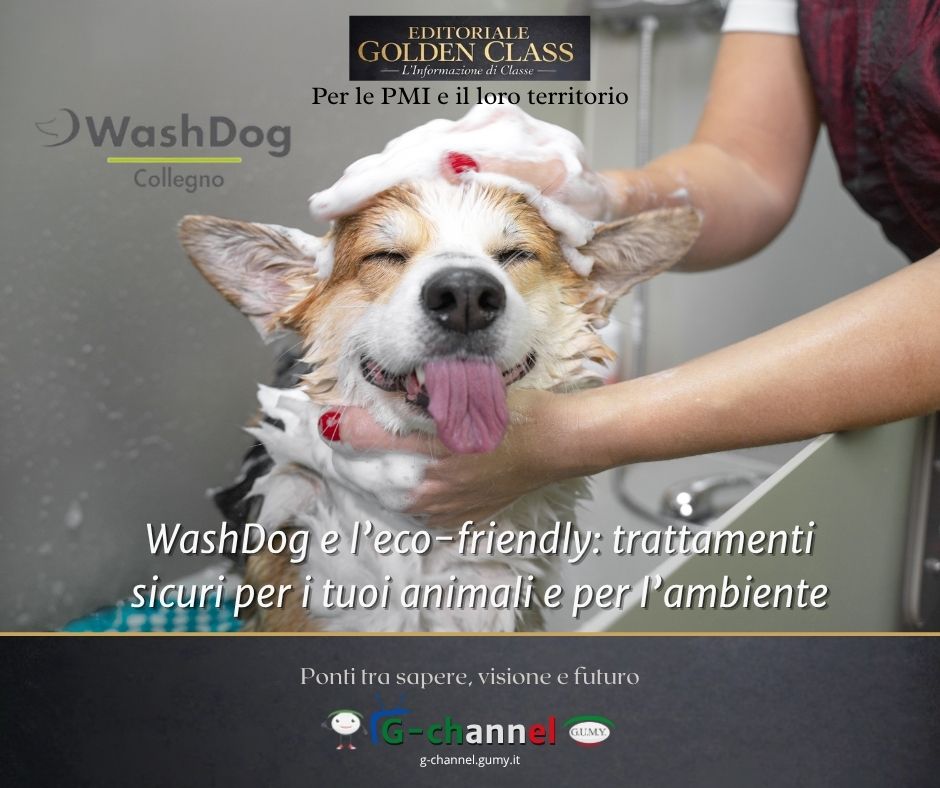 WashDog e l’eco-friendly: trattamenti sicuri per i tuoi animali e per l’ambiente