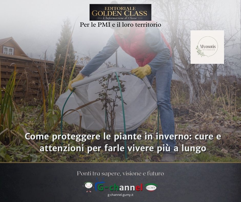 Come proteggere le piante in inverno: cure e attenzioni per farle vivere più a lungo