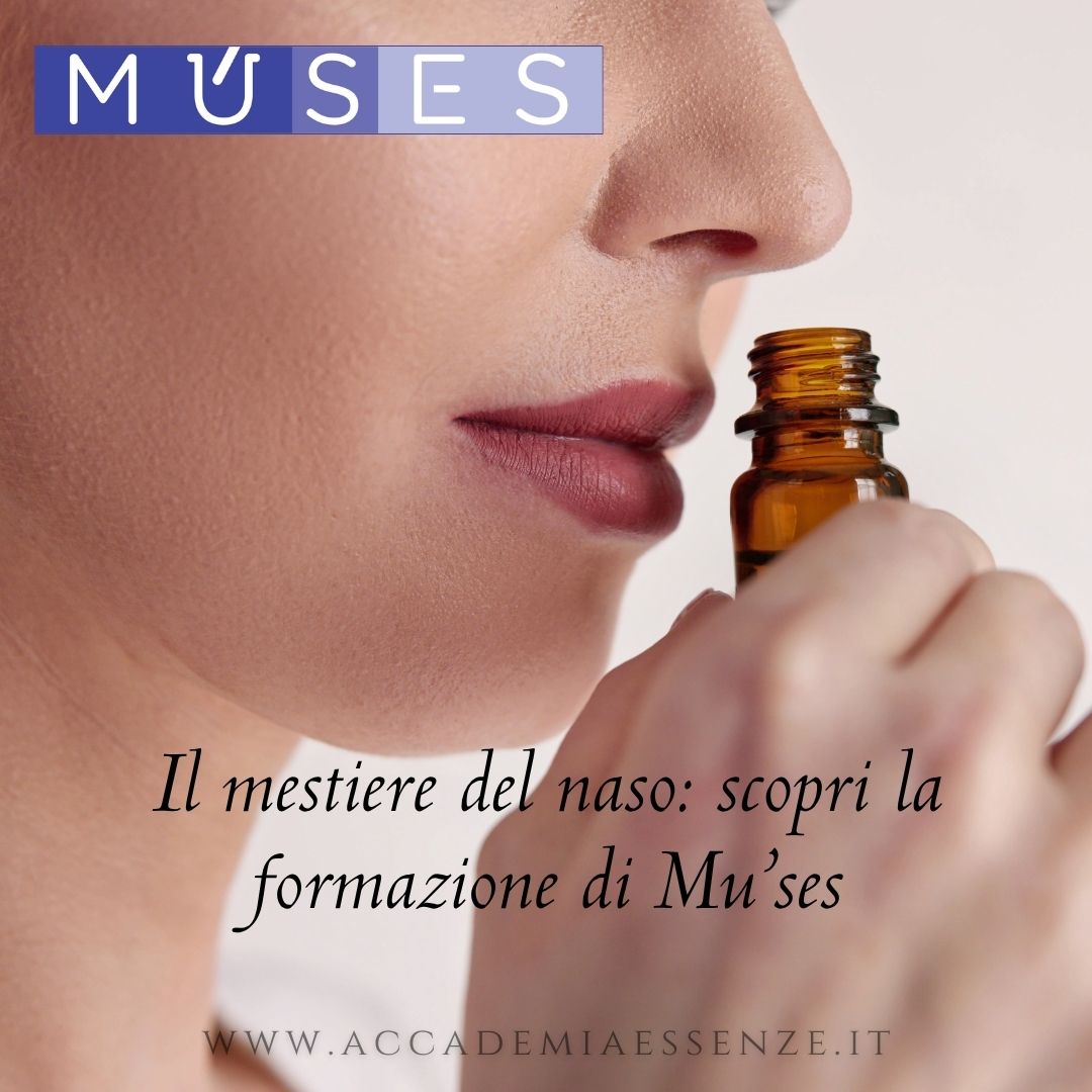 Il mestiere del naso: scopri la formazione di Múses