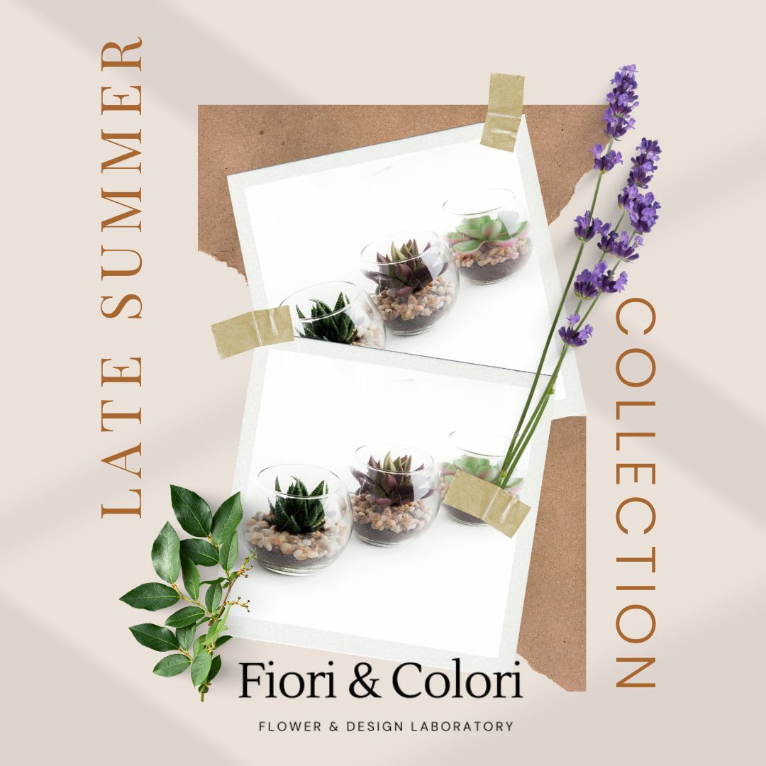 Fiori & Colori, il tuo spazio floreale creativo a Collegno