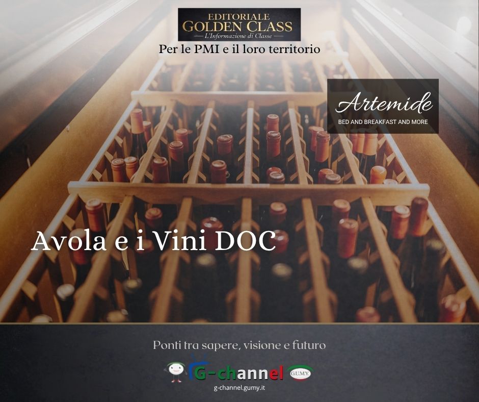 Avola e i vini DOC: il territorio del Nero d’Avola