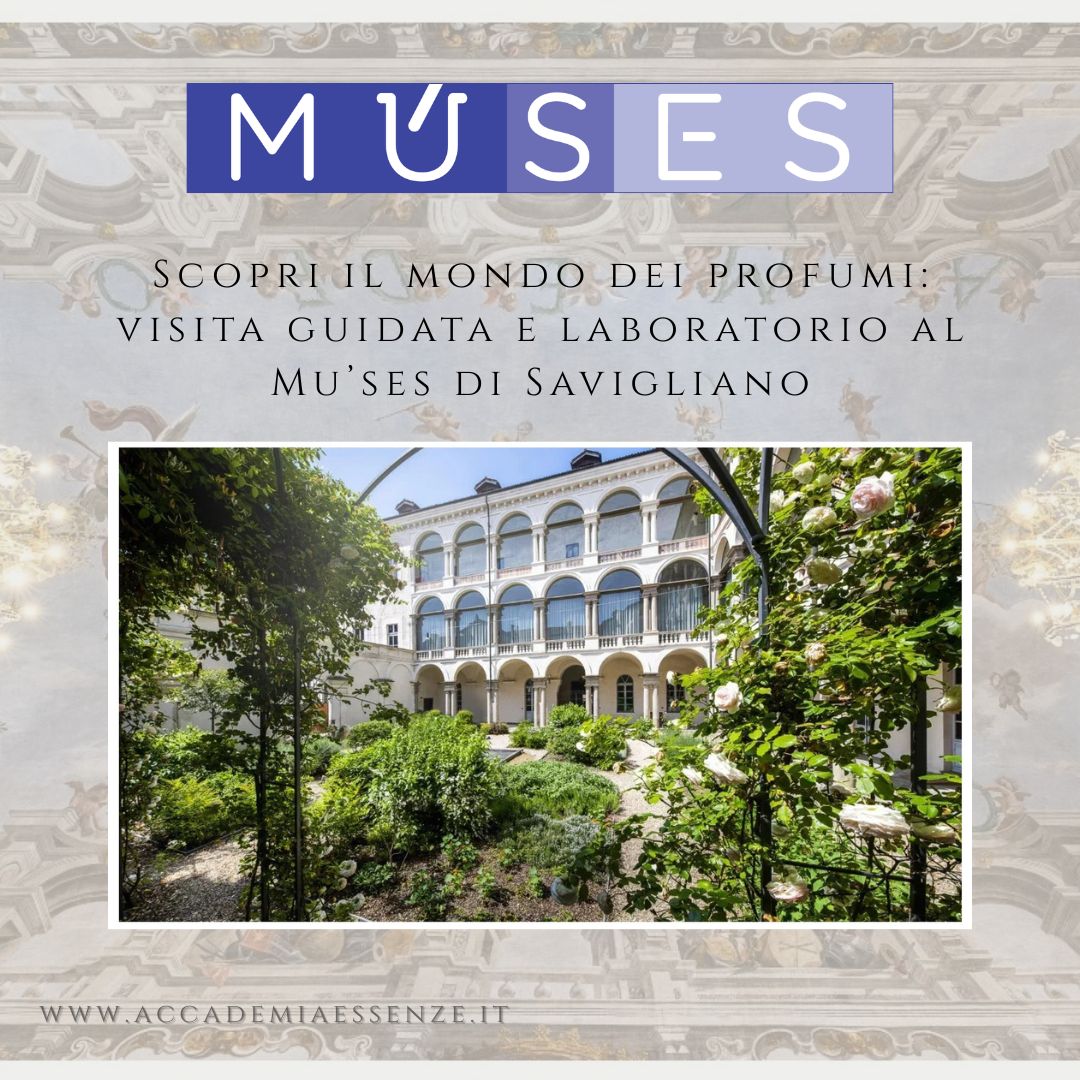 Scopri il mondo dei profumi: visita guidata e laboratorio al Mu’ses